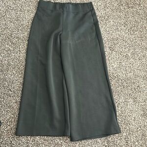 Spanx Airessentials Wide Leg Pants 1X Olive Green
